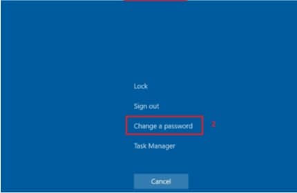 VMware Horizon - Change password screen